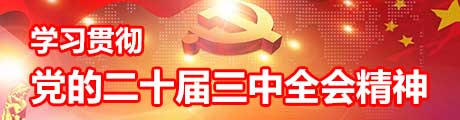 學(xué)習(xí)貫徹黨的二十屆三中全會(huì)精神